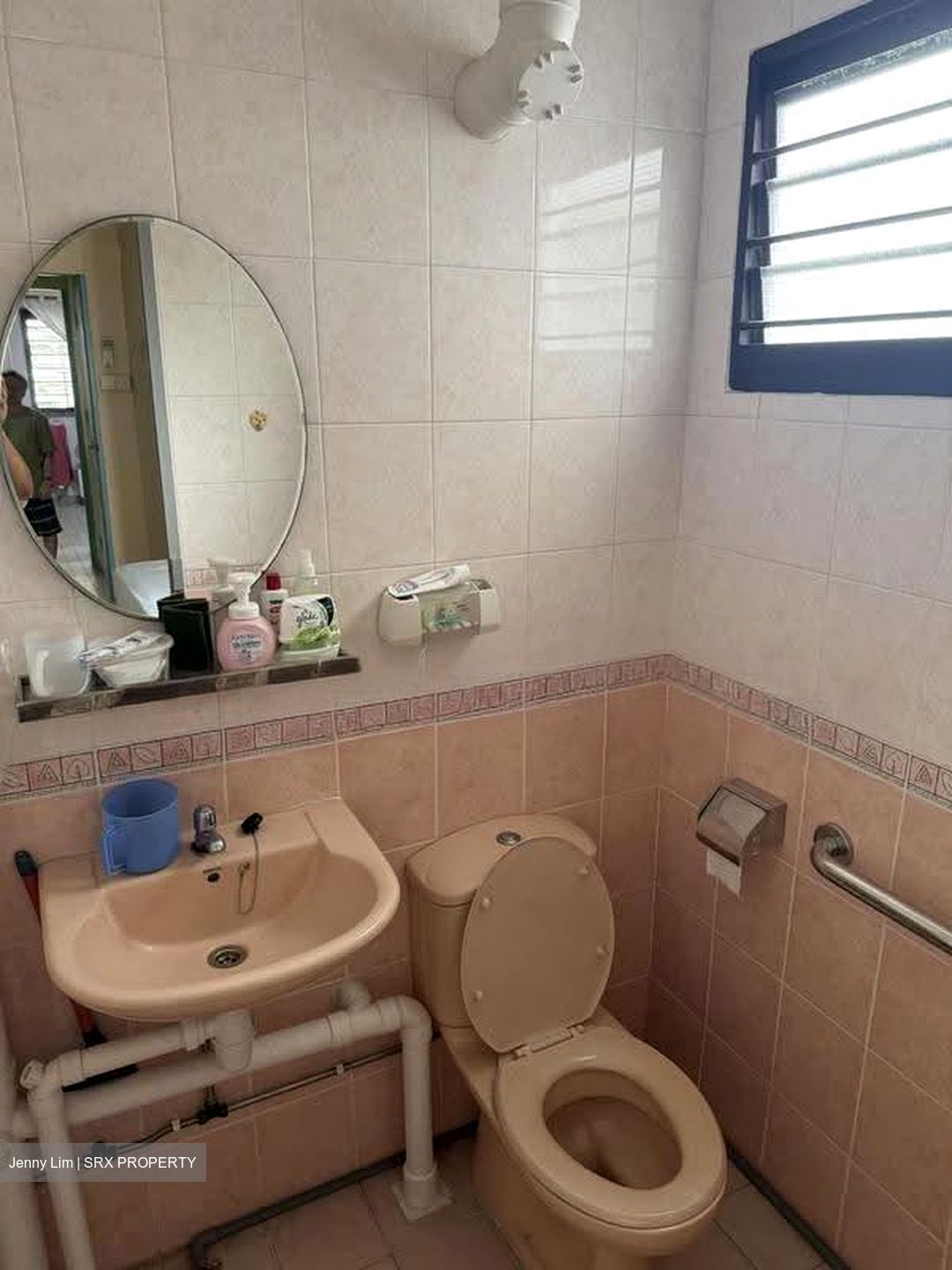 Blk 309 Clementi Meadows (Clementi), HDB 3 Rooms #625966221